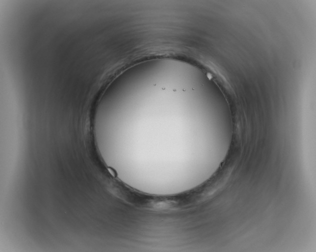 X0000111890407200907231451