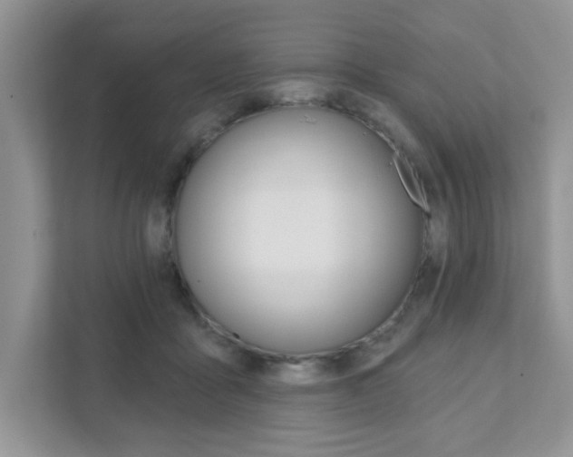 X0000111890411200907231451