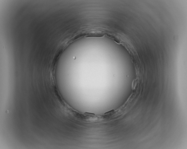 X0000111890415200907231451