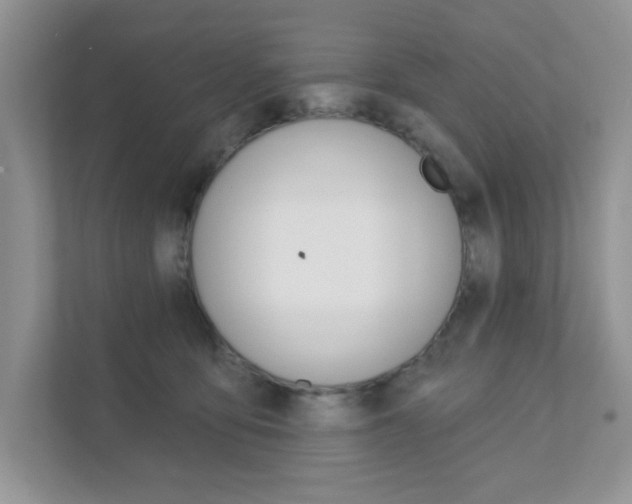 X0000111890419200907231451