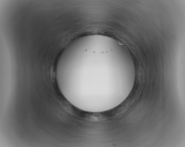 X0000111890420200907231451