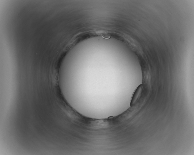 X0000111890421200907231451