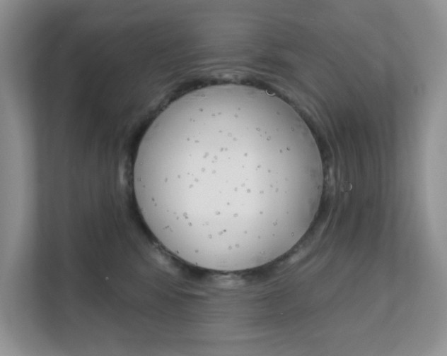 X0000111890424200907231451