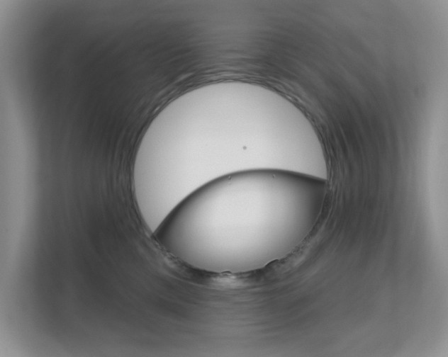 X0000111890425200907231451