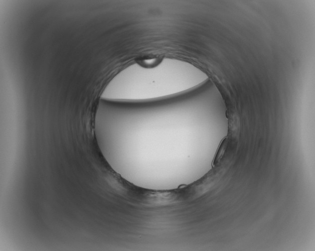 X0000111890428200907231451