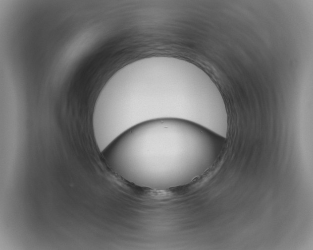 X0000111890429200907231451