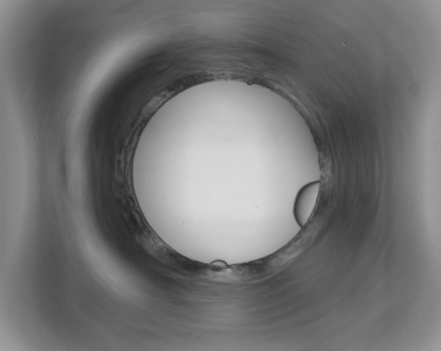 X0000111890430200907231451