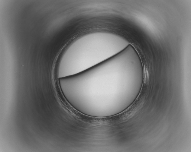 X0000111890435200907231450
