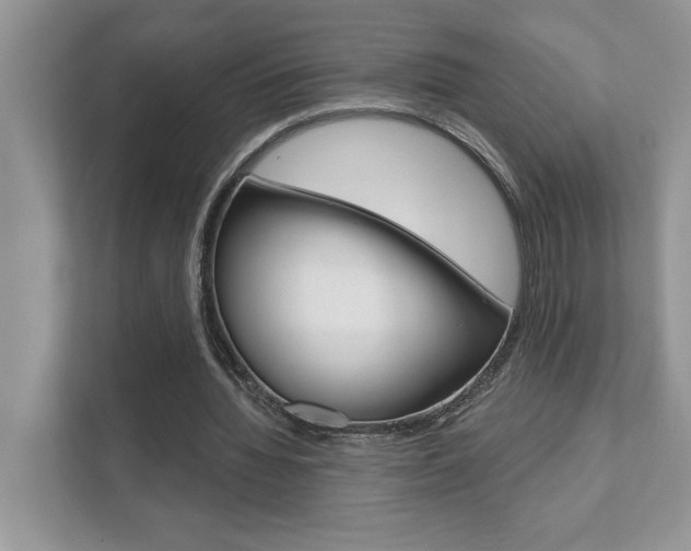 X0000111890436200907231450