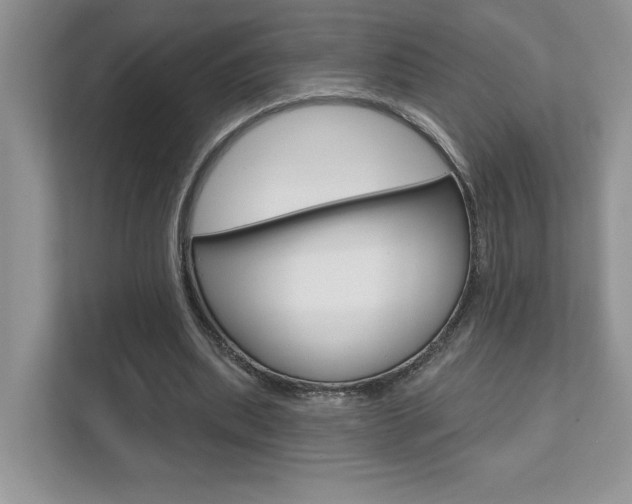 X0000111890439200907231450