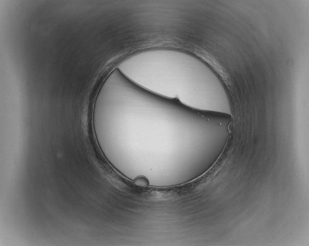 X0000111890442200907231450