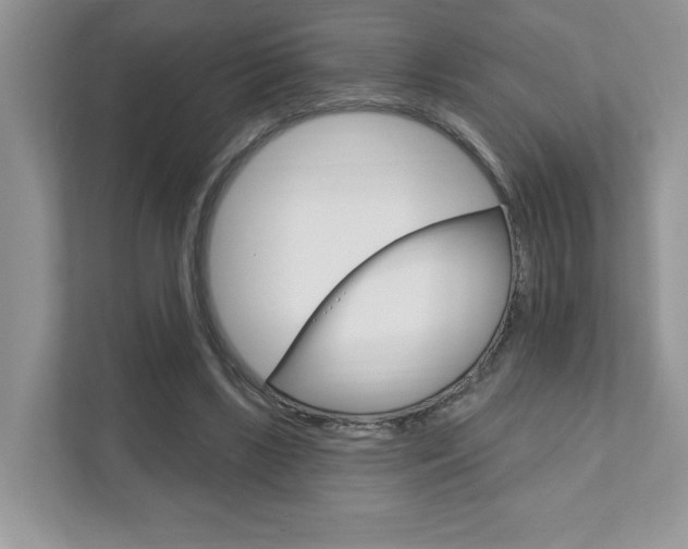 X0000111890443200907231450
