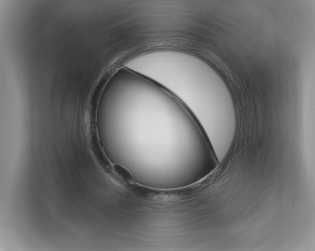 X0000111890444200907231450