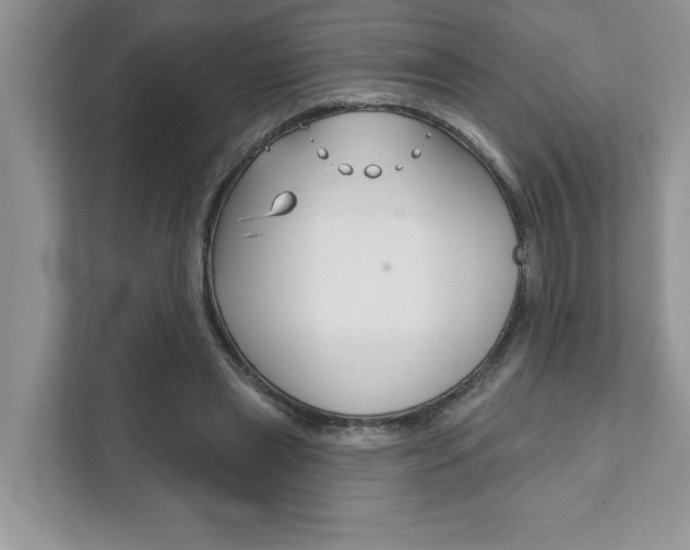 X0000111890445200907231451