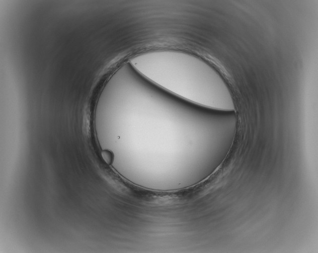 X0000111890446200907231451