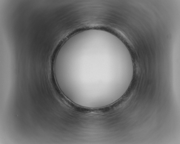X0000111890447200907231451
