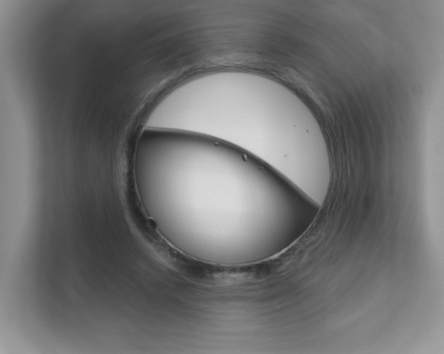 X0000111890448200907231451