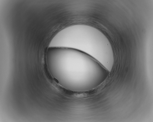 X0000111890452200907231451