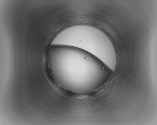 X0000111890456200907231451