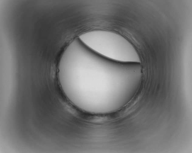 X0000111890458200907231451