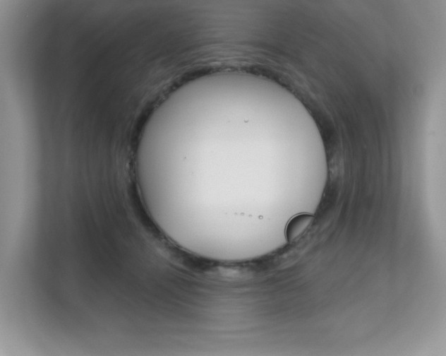 X0000111890464200907231451
