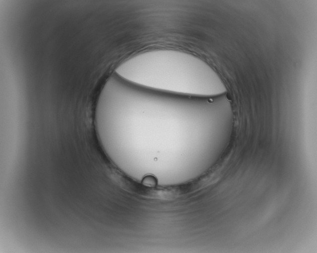 X0000111890466200907231451