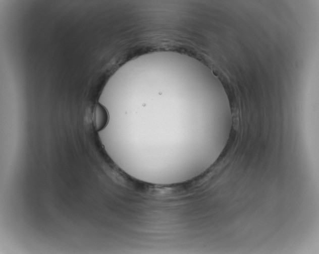X0000111890472200907231451