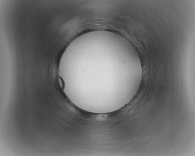 X0000111890474200907231451