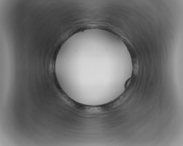 X0000111890476200907231451