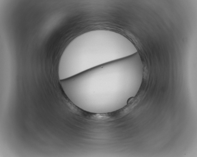 X0000111890477200907231451