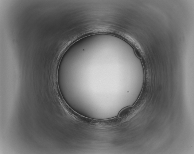 X0000111890481200907231450
