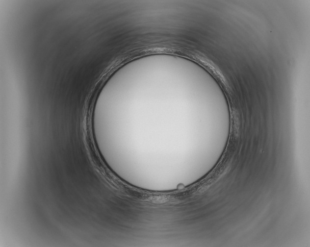 X0000111890482200907231450