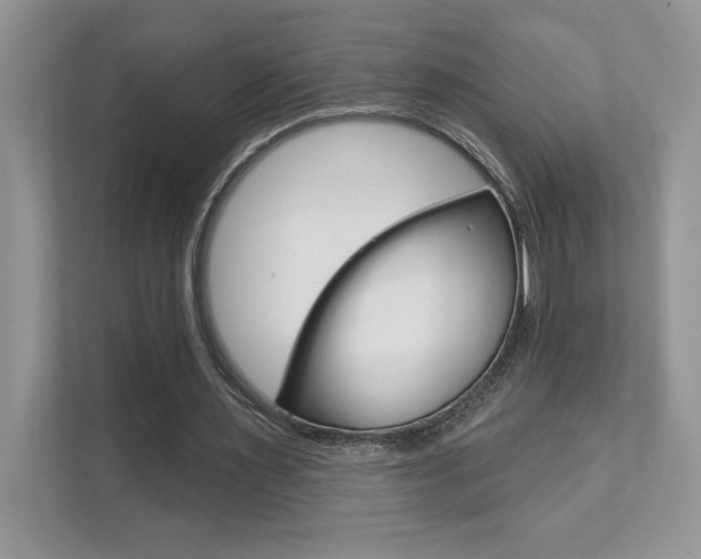 X0000111890483200907231450