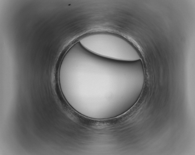 X0000111890487200907231450