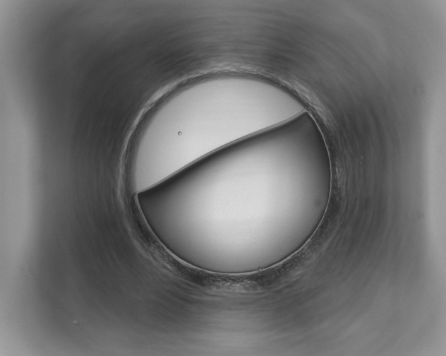 X0000111890488200907231450