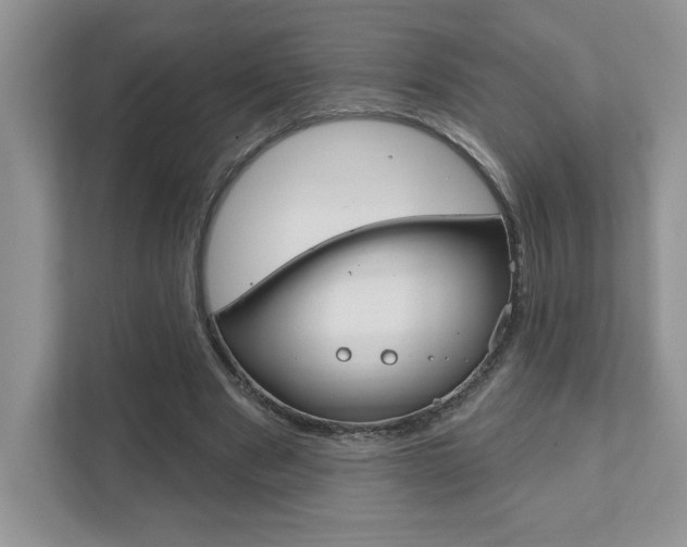 X0000111890489200907231450