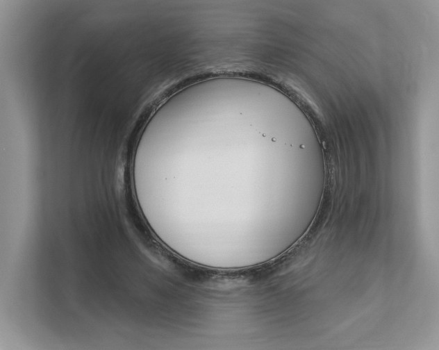 X0000111890491200907231450