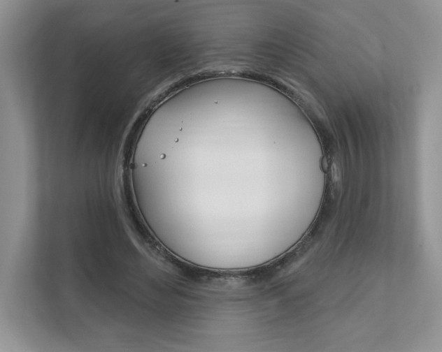 X0000111890492200907231450