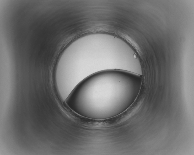X0000111890493200907231450