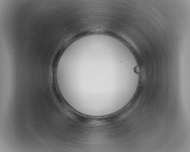 X0000111890494200907231450