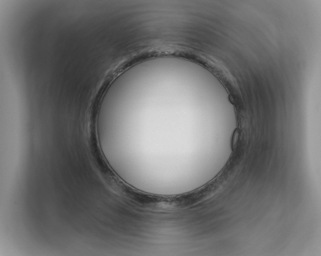 X0000111890496200907231450