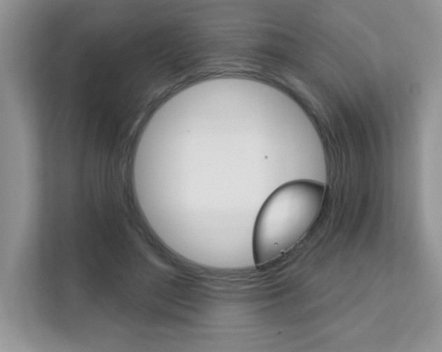 X0000111890500200907231450