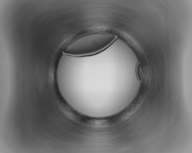 X0000111890501200907231450