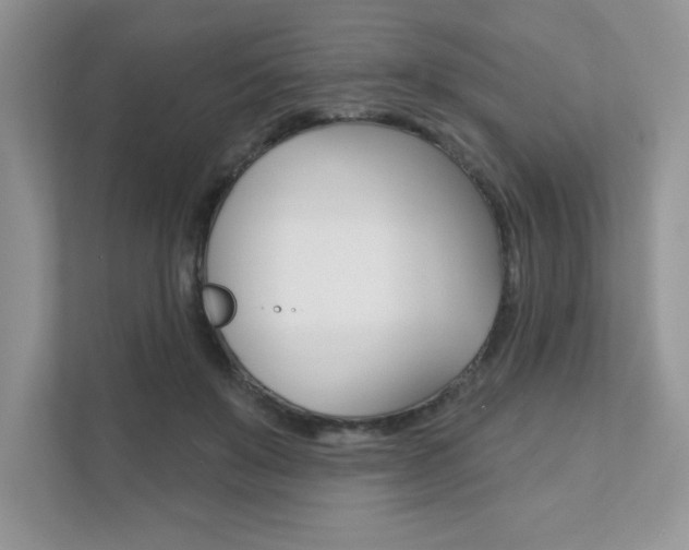X0000111890503200907231450