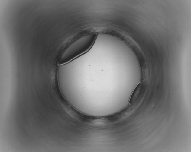 X0000111890505200907231450