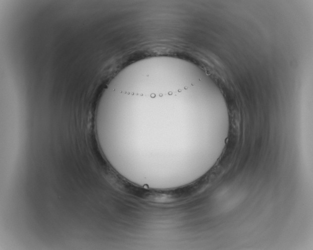 X0000111890507200907231450