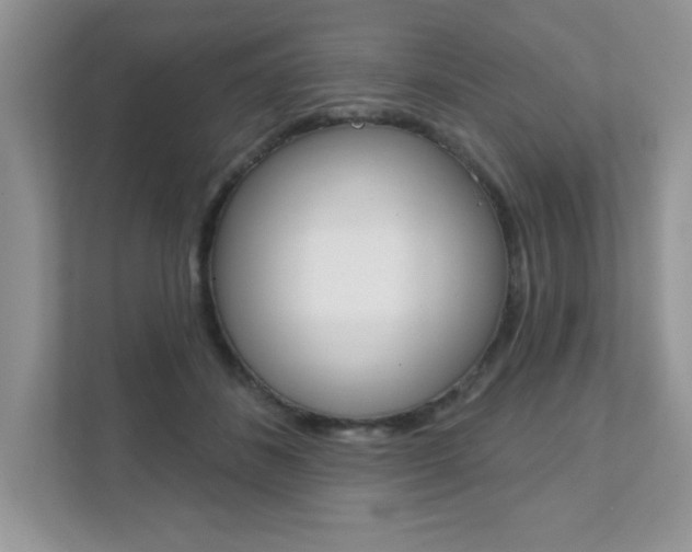 X0000111890508200907231450