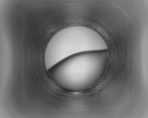X0000111890509200907231450