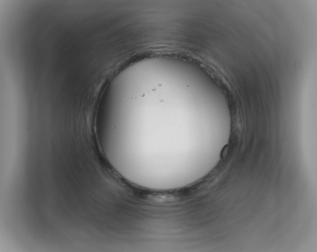X0000111890512200907231450