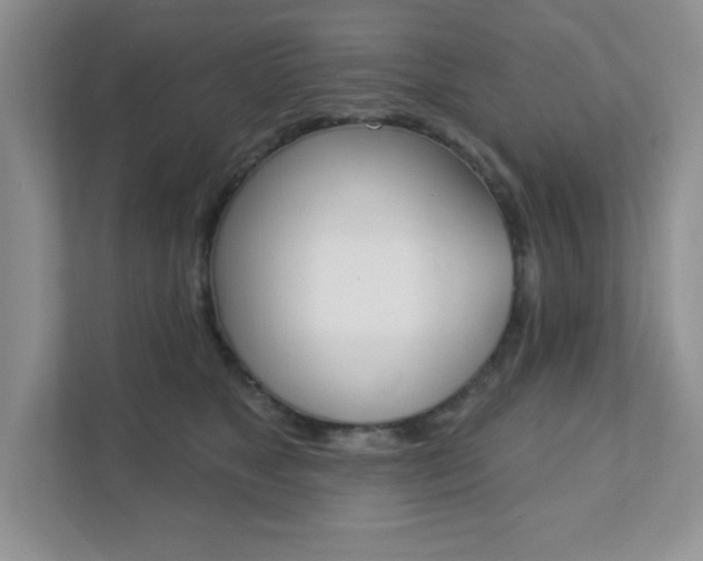 X0000111890517200907231450